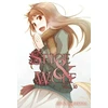 KNYGA Isuna Hasekura Spice and Wolf: Vol. 10 - Novel