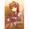 KNYGA Isuna Hasekura Spice and Wolf, Vol 13 - Novel
