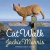 KNYGA Jackie Morris Cat Walk