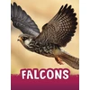 KNYGA Jaclyn Jaycox Falcons