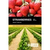 KNYGA James Hancock Strawberries