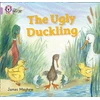 KNYGA James Mayhew Ugly Duckling