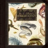 KNYGA Jana Heidersorf Dr. C. Lillefisk's Sirenology