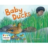 KNYGA Jay Dale Baby Ducks