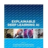 KNYGA Jenny Benois Pineau Explainable Deep Learning AI