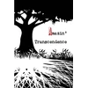 KNYGA Jeremy Adams Amazin' Transcendence