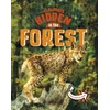 KNYGA Jessica Rusick Animals Hidden in the Forest
