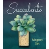 KNYGA Jessie Oleson Moore Succulents Magnet Set