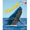 KNYGA Jill Atkins Whales