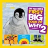 KNYGA Jill Esbaum Little Kids First Big Book of Why 2