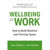 KNYGA Jim Clifton Wellbeing at Work