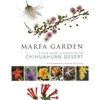 KNYGA Jim Martinez Marfa Garden