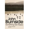 KNYGA John Burnside Something Like Happy