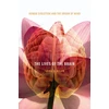 KNYGA John S Allen Lives of the Brain