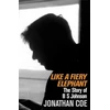 KNYGA Jonathan Coe Like a Fiery Elephant