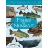 KNYGA Jordan Hoffman Junior Field Guide: Fishes of Nunavut