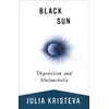 KNYGA Julia Kristeva Juodas Sun