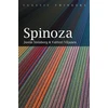 KNYGA Justin Steinberg Spinoza