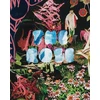 KNYGA Justine Kurland Rose: A Circular Genealogy of Collage