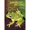 KNYGA Silva Photographic Field Guide to the Amphibians of Sri Lanka