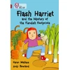 KNYGA Karen Wallace Flash Harriet and the Mystery of the Fiendish Footprints