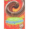 KNYGA Kari Schuetz Millipedes
