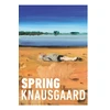 KNYGA Karl Ove Knausgaard Pavasaris