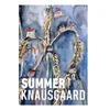 KNYGA Karl Ove Knausgaard Vasara