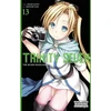 KNYGA Kenji Saito Trinity Seven, Vol. 13