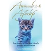 KNYGA Kim Sheridan Animals and the Afterlife