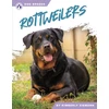 KNYGA Kimberly Ziemann Rottweilers