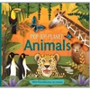KNYGA Kingfisher Pop-Up Planet: Animals