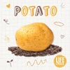 KNYGA Kirsty Holmes Potato