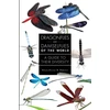 KNYGA Klaas-Douwe B. Dijkstra Dragonflies and Damselflies of the World