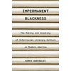 KNYGA Korey Garibaldi Impermanent Blackness