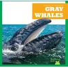 KNYGA Leahy Gray Whales