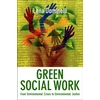 KNYGA Lena Dominelli Žalias Social Work
