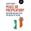 KNYGA Liam Ruairc Peace or Pacification?