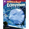 KNYGA Lisa Holewa Making an Ocean Ecosystem