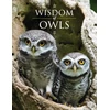 KNYGA Lisa Purcell Wisdom of Owls