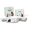 KNYGA Little World of Liz Climo: A Magnetic Kit