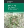 KNYGA Lj Walters Keys to the Families of British Spiders