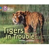 KNYGA Louise Spilsbury Tigers in Trouble