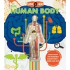 KNYGA Luann Colombo Uncover the Human Body