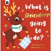 KNYGA Madden Carly What is Reindeer Going to do?