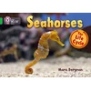KNYGA Mara Bergman Seahorses