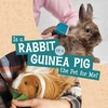 KNYGA Mari C Schuh Is a Rabbit or a Guinea Pig the Pet for Me?