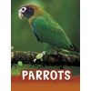 KNYGA Mari C Schuh Parrots