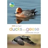 KNYGA Marianne Taylor RSPB Spotlight Ducks and Geese