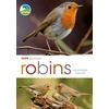 KNYGA Marianne Taylor RSPB Spotlight: Robins
